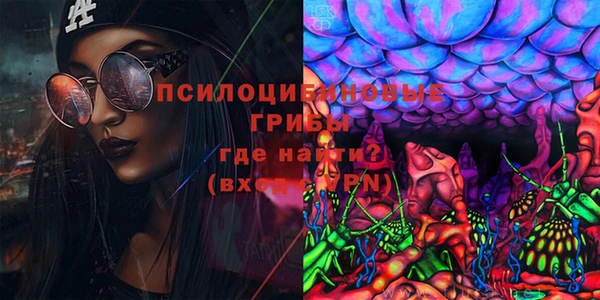 Альфа ПВП Сосновоборск