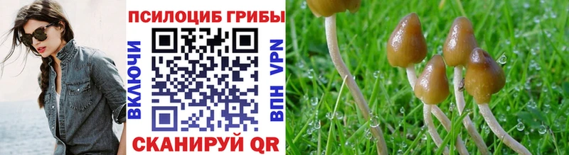 Купить  Багратионовск  Псилоцибиновые грибы ЛСД 